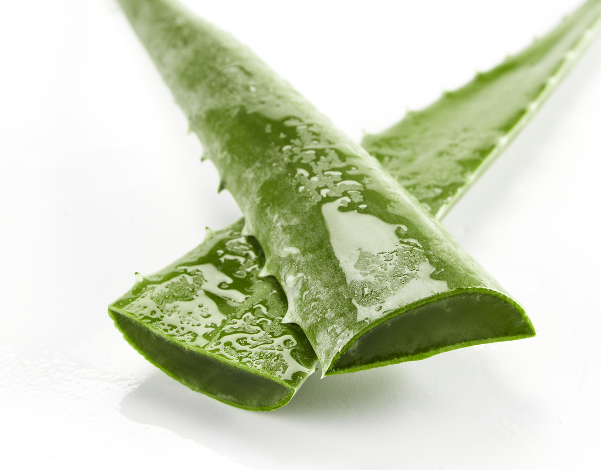 Aloe vera list